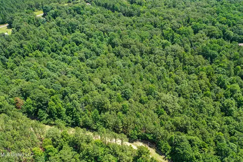 Grubb Springs Road, Aberdeen, MS 39730