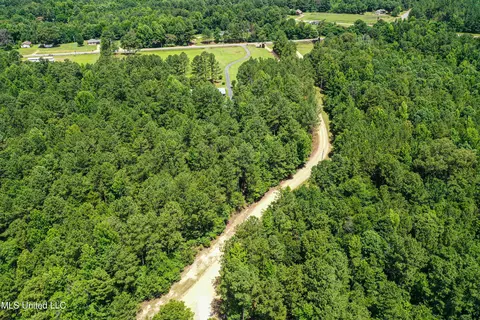 Grubb Springs Rd, Aberdeen, MS 39730 photo 2