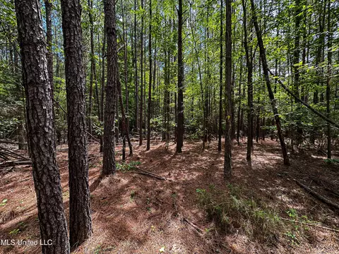 Grubb Springs Rd, Aberdeen, MS 39730 photo 11