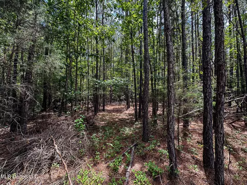 Grubb Springs Rd, Aberdeen, MS 39730 photo 10