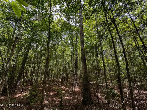 Grubb Springs Rd, Aberdeen, MS 39730 photo 13