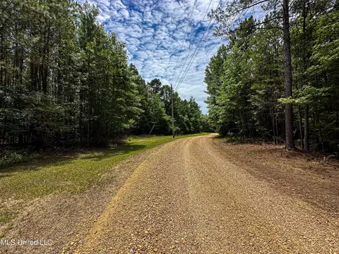 Grubb Springs Rd, Aberdeen, MS 39730 photo 5