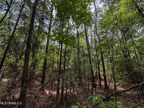 Grubb Springs Rd, Aberdeen, MS 39730 photo 9