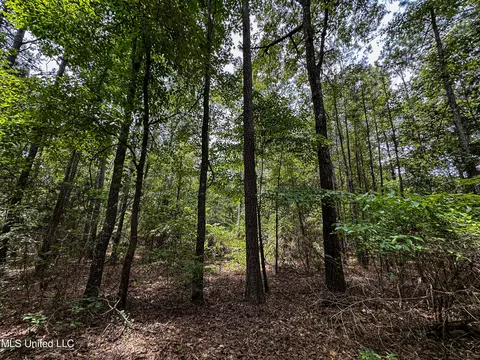 Grubb Springs Rd, Aberdeen, MS 39730 photo 8