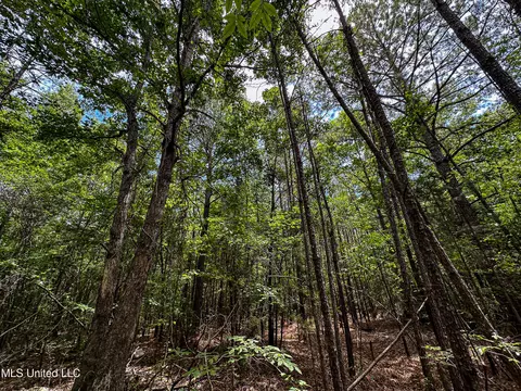 Grubb Springs Rd, Aberdeen, MS 39730 photo 12