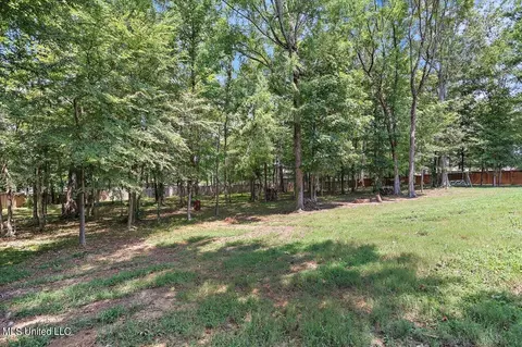 Exterior - 104 Saddlebrook Cv #104, Madison, MS 39110 photo 11 of 16