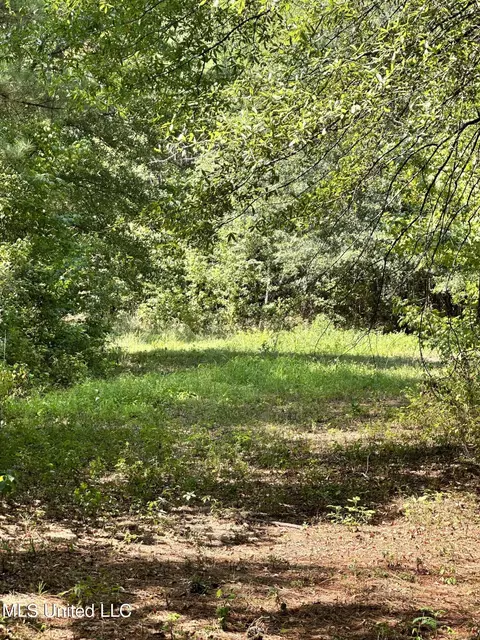 Other - 282 Highway 332, Grenada, MS 38901 photo 14 of 15