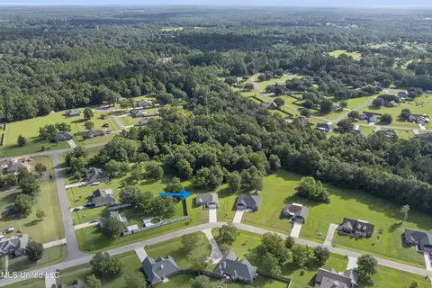 View/Area - 43 Mojave Ln, Picayune, MS 39466 photo 1 of 2