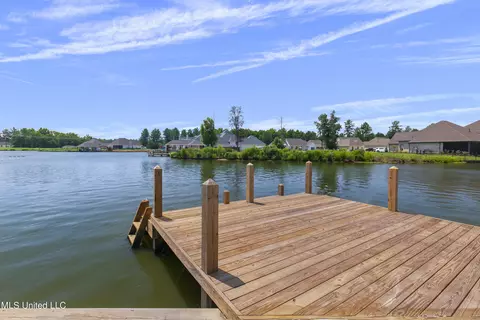 Other - 128 Herons Bay Cir, Madison, MS 39110 photo 20 of 29