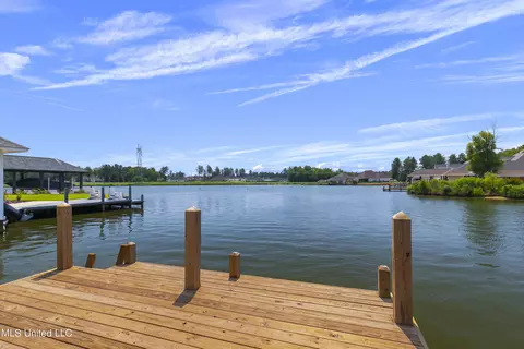 View/Area - 128 Herons Bay Cir, Madison, MS 39110 photo 3 of 19