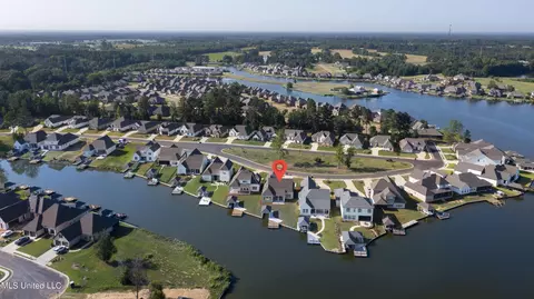 View/Area - 128 Herons Bay Cir, Madison, MS 39110 photo 10 of 19