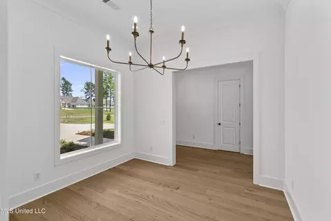 Other - 128 Herons Bay Cir, Madison, MS 39110 photo 5 of 29
