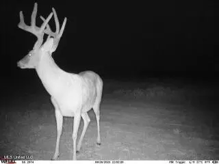 Clayton, Marks, MS 38646 photo 18