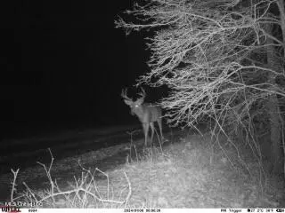 Clayton, Marks, MS 38646 photo 14