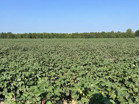 Clayton, Marks, MS 38646 photo 9