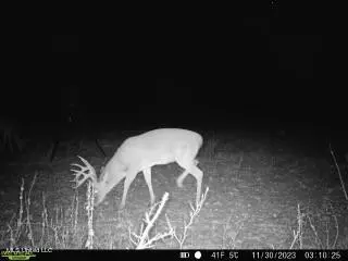 Clayton, Marks, MS 38646 photo 16