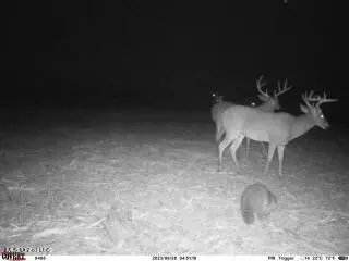 Clayton, Marks, MS 38646 photo 12