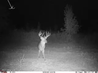 Clayton, Marks, MS 38646 photo 13