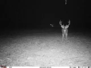 Clayton, Marks, MS 38646 photo 15