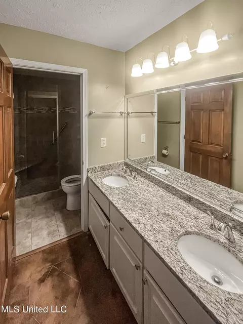 Bath - 714 Laney Dr, Clinton, MS 39056 photo 3 of 3