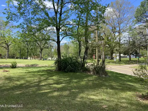 704 E Jackson Rd, Union, MS 39365 photo 6