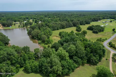 451 Cherry Tree Ln, Coldwater, MS 38618 photo 17