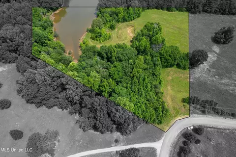 451 Cherry Tree Ln, Coldwater, MS 38618