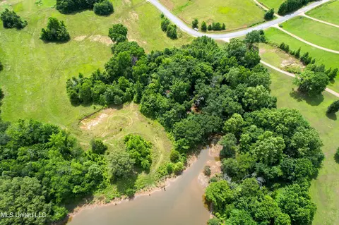 451 Cherry Tree Ln, Coldwater, MS 38618 photo 16