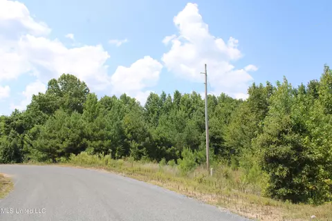 451 Cherry Tree Ln, Coldwater, MS 38618 photo 4