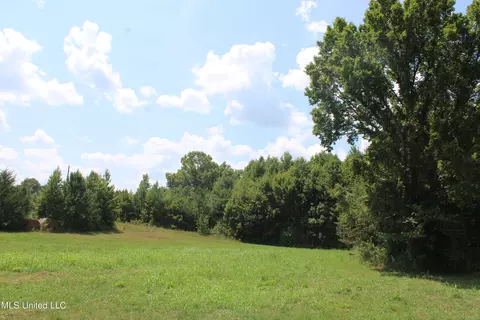 451 Cherry Tree Ln, Coldwater, MS 38618 photo 5