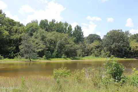 451 Cherry Tree Ln, Coldwater, MS 38618 photo 9