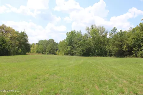 451 Cherry Tree Ln, Coldwater, MS 38618 photo 6