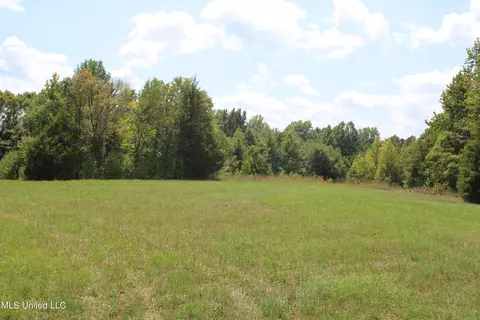 451 Cherry Tree Ln, Coldwater, MS 38618 photo 7