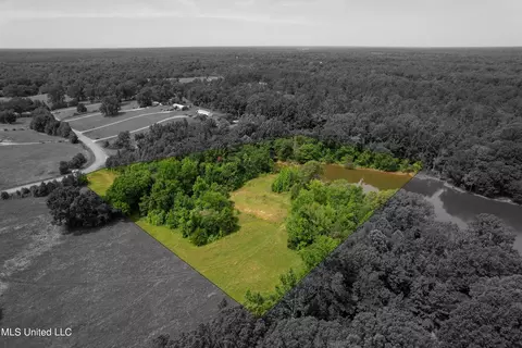 451 Cherry Tree Ln, Coldwater, MS 38618 photo 13