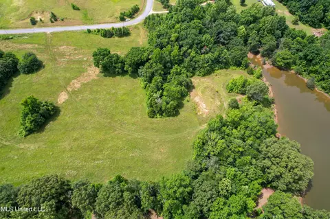 451 Cherry Tree Ln, Coldwater, MS 38618 photo 15