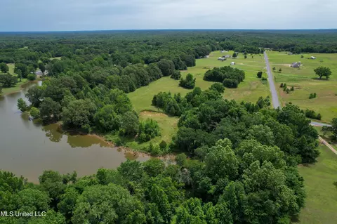 451 Cherry Tree Ln, Coldwater, MS 38618 photo 14