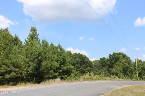 451 Cherry Tree Ln, Coldwater, MS 38618 photo 3