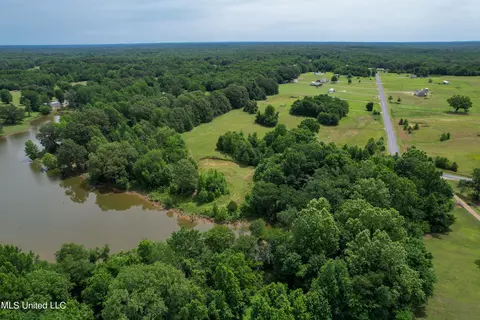 451 Cherry Tree Ln, Coldwater, MS 38618 photo 2