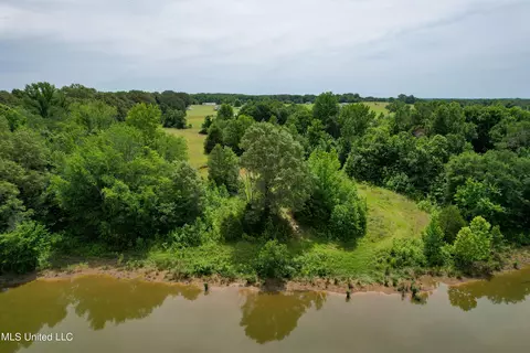 451 Cherry Tree Ln, Coldwater, MS 38618 photo 18