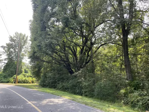 223 E Sunnybrook Rd, Carriere, MS 39426