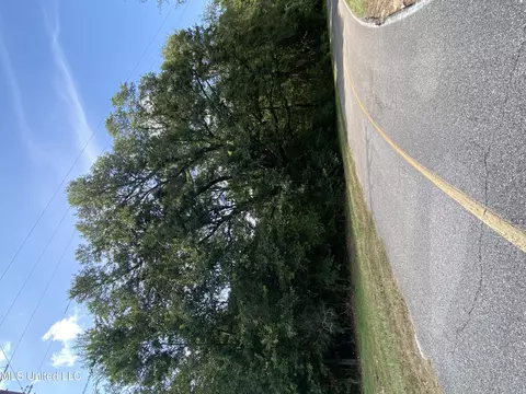 225 E Sunnybrook Rd, Carriere, MS 39426