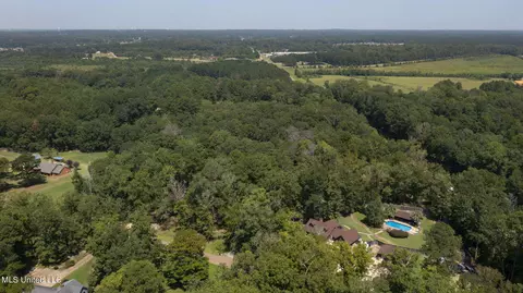 View/Area - 104 Kathryn Dr, Brandon, MS 39042 photo 1 of 6