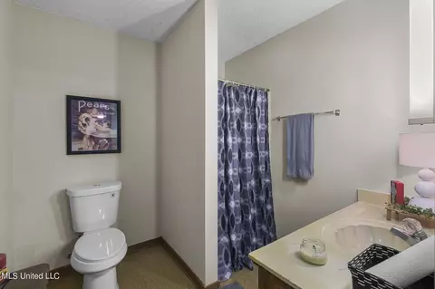Bath - 104 Kathryn Dr, Brandon, MS 39042 photo 8 of 9