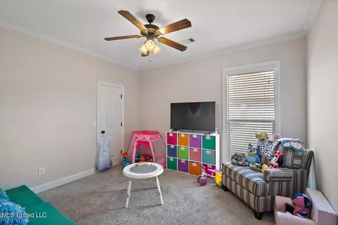 172 Brisco St, Madison, MS 39110 photo 31