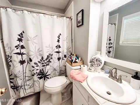 Bath - 223 Lewis St, Florence, MS 39073 photo 1 of 3