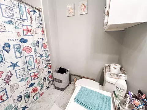 Bath - 223 Lewis St, Florence, MS 39073 photo 3 of 3