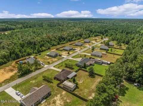 6 Colony Rd, Mchenry, MS 39561 photo 28