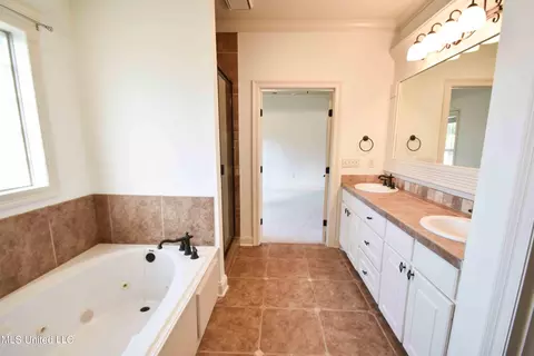 Bath - 101 Buckeye Dr, Madison, MS 39110 photo 2 of 6