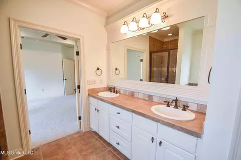 Bath - 101 Buckeye Dr, Madison, MS 39110 photo 3 of 6