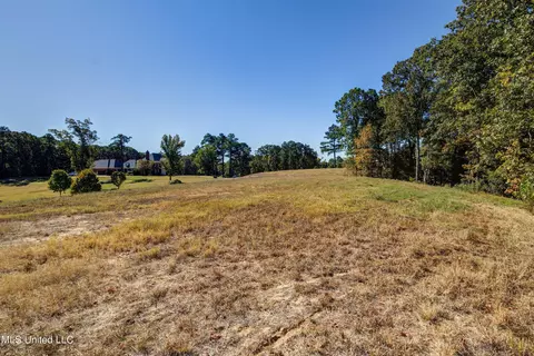 5665 Ginners Ln, Hernando, MS 38632 photo 15